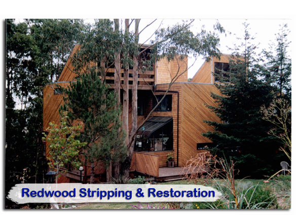 redwood24